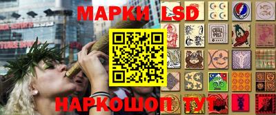 шишки Нальчик