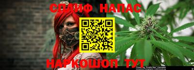 шишки Нальчик
