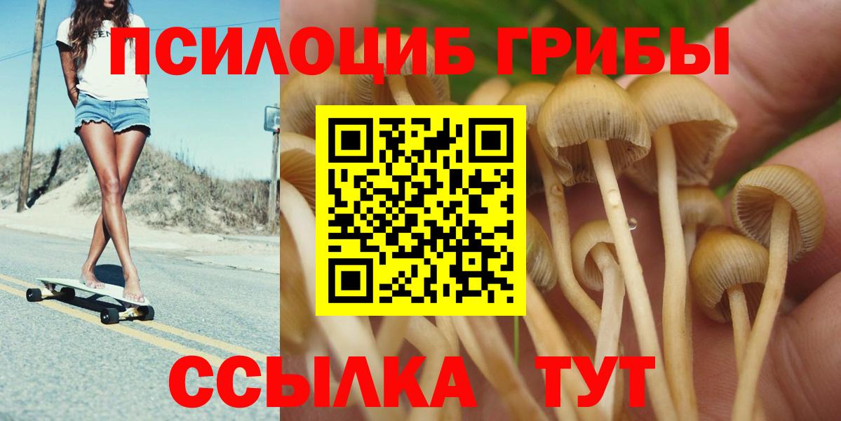 Псилоцибиновые грибы MAGIC MUSHROOMS Топки